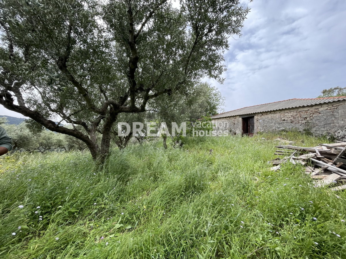 property-img