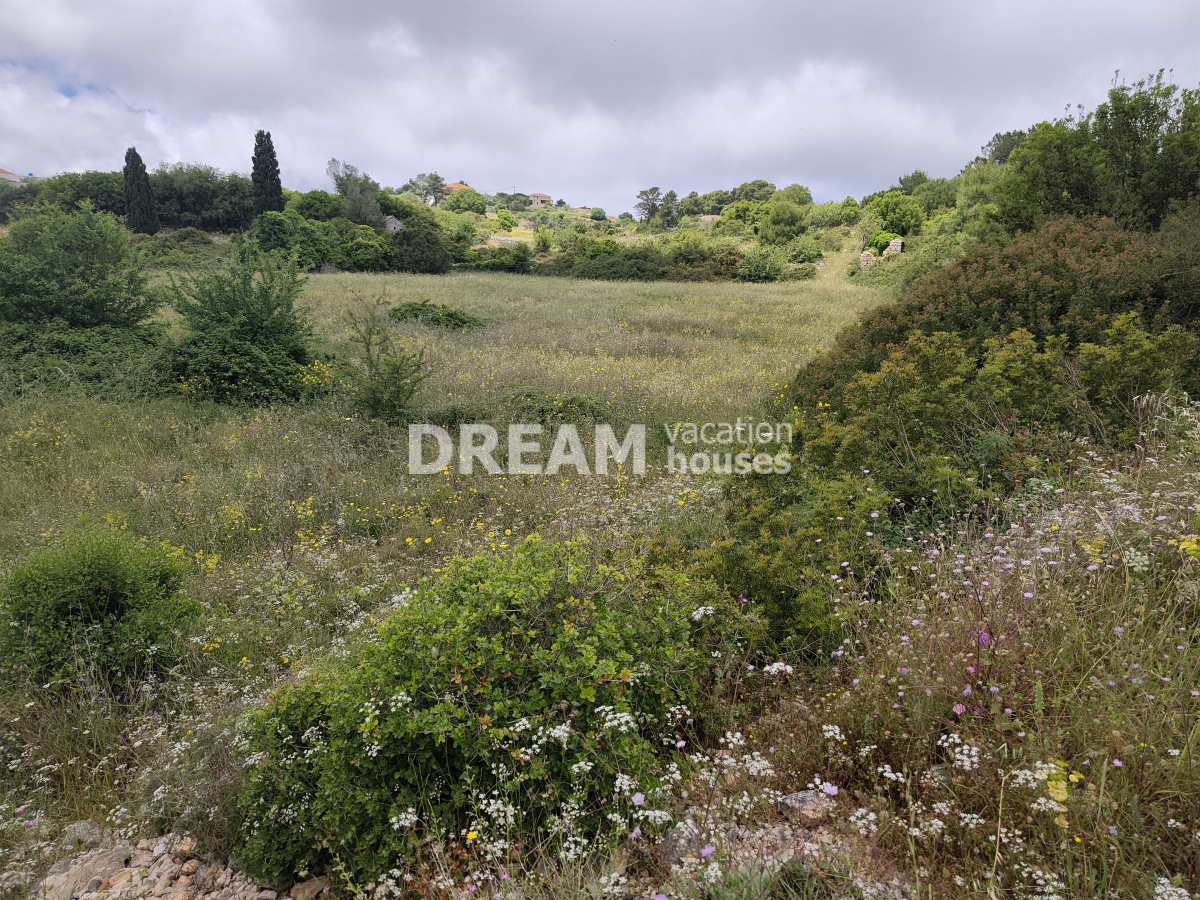 property-img