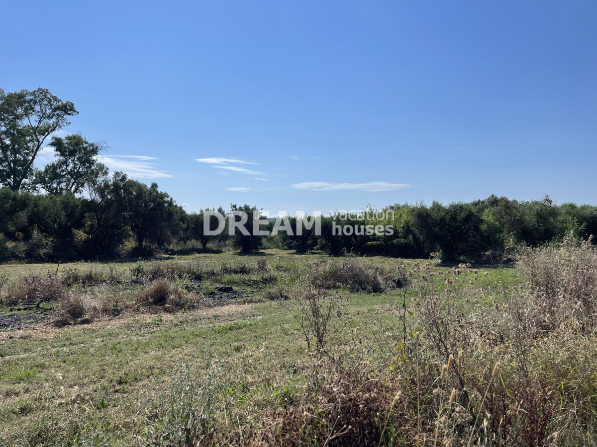 property-img
